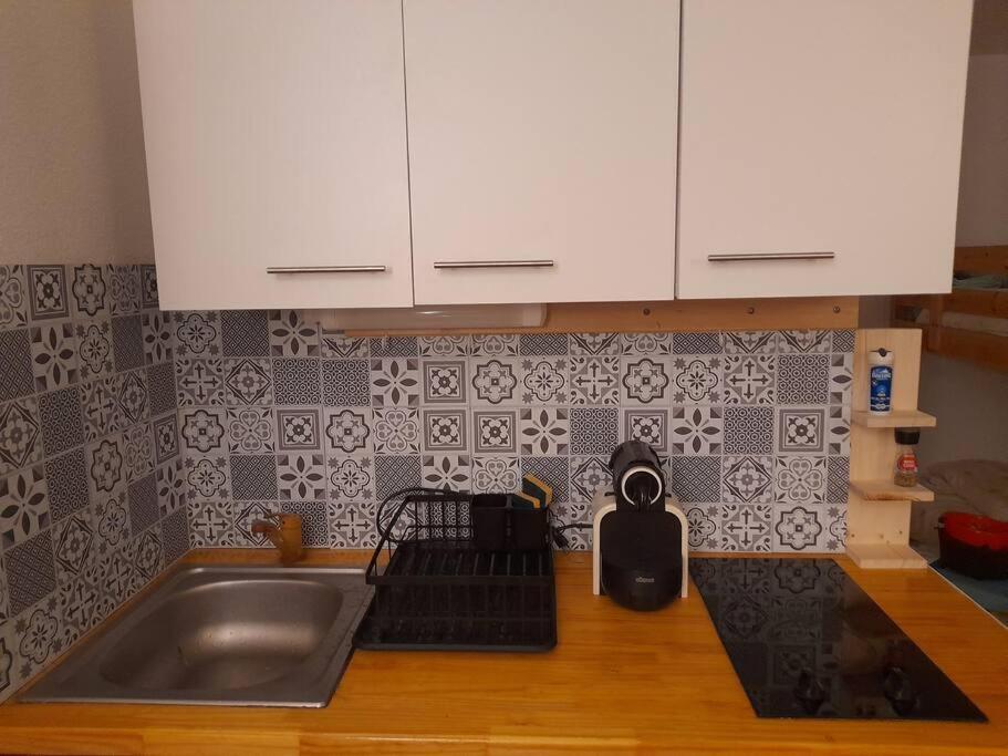 Rez De Jardin / Pieds Des Pistes Apartment Bernex Ngoại thất bức ảnh